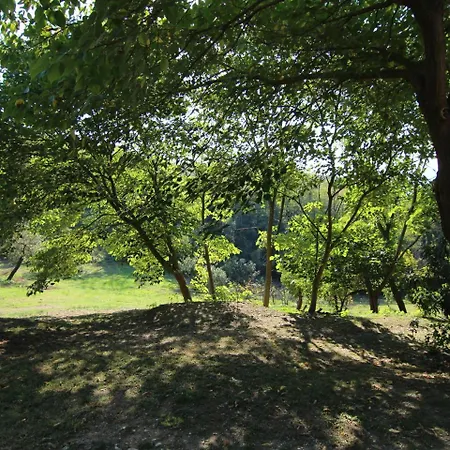 Luxurious Cottage In Vo With Garden Holiday home *